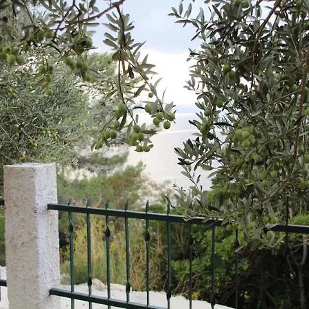 Tafra 4 Apartman