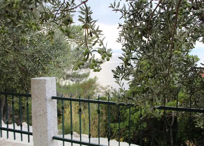 Tafra 4 Apartman